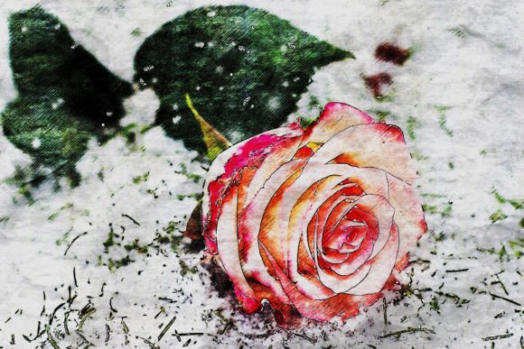 Download Printable Flower Graphics Pack# 09 - Printable Collection